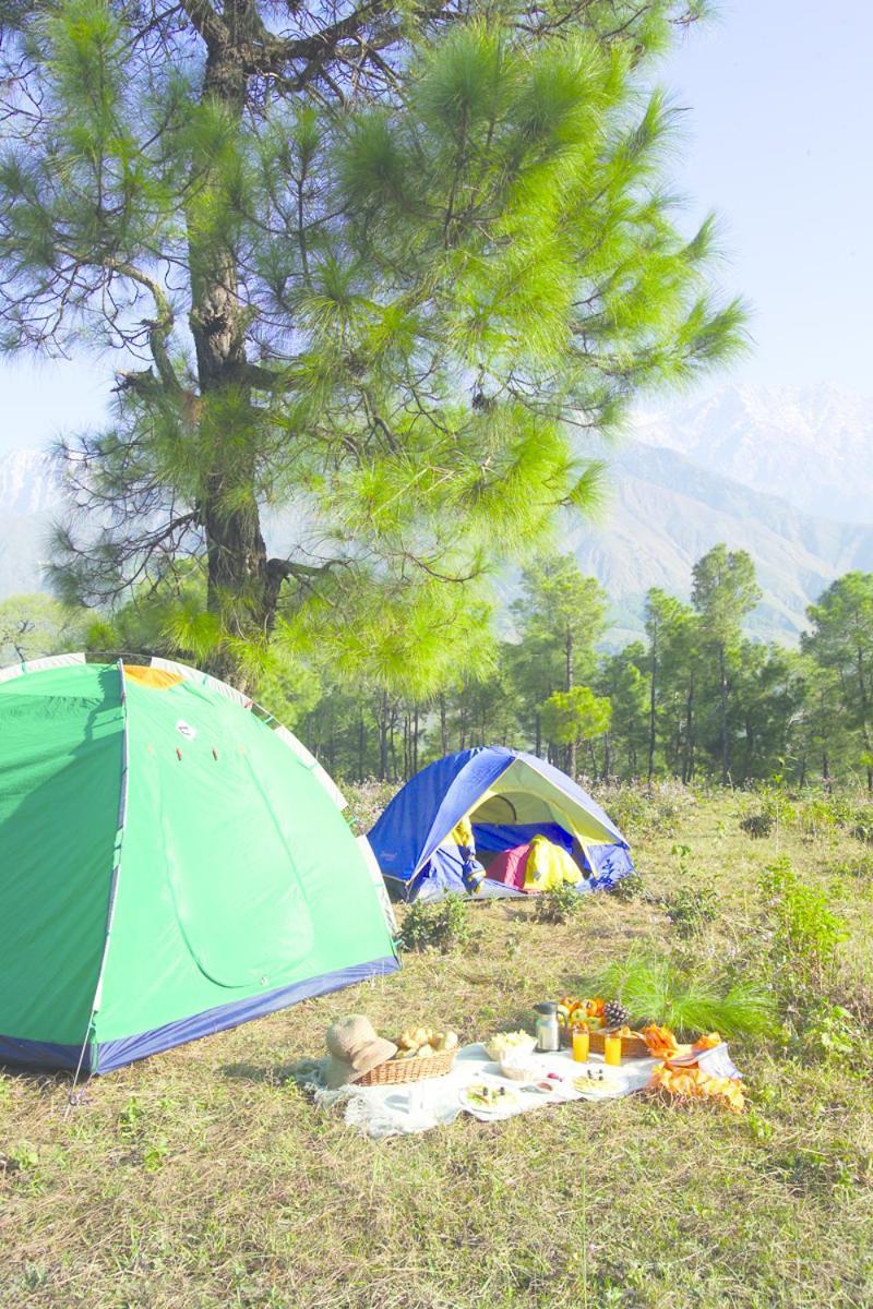 Club Mahindra Dharamshala Hotel Luaran gambar